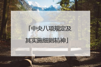 中央八项规定及其实施细则精神