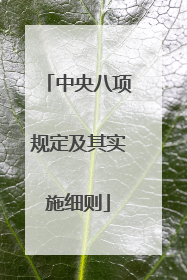 中央八项规定及其实施细则