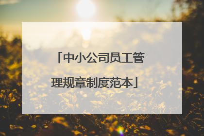 中小公司员工管理规章制度范本