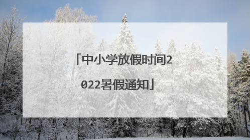 中小学放假时间2022暑假通知