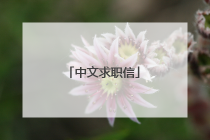 中文求职信