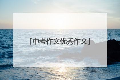 中考作文优秀作文