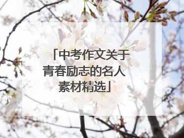 中考作文关于青春励志的名人素材精选