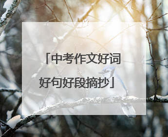 中考作文好词好句好段摘抄