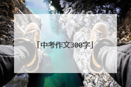 中考作文300字