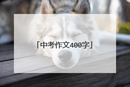 中考作文400字