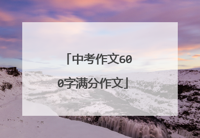 中考作文600字满分作文
