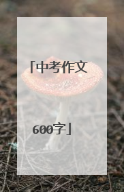 中考作文600字