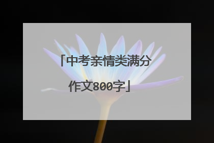 中考亲情类满分作文800字
