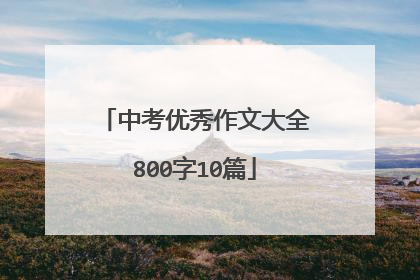中考优秀作文大全800字10篇