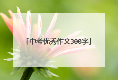 中考优秀作文300字