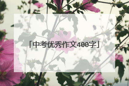 中考优秀作文400字