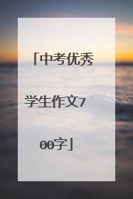 中考优秀学生作文700字
