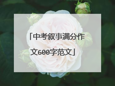 中考叙事满分作文600字范文