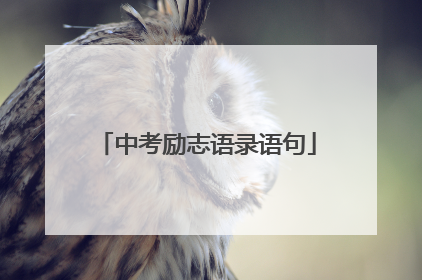 中考励志语录语句