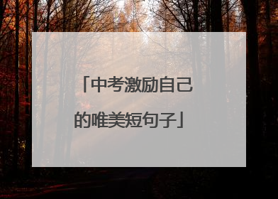 中考激励自己的唯美短句子