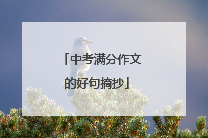 中考满分作文的好句摘抄