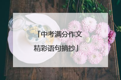 中考满分作文精彩语句摘抄