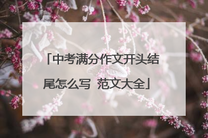 中考满分作文开头结尾怎么写 范文大全
