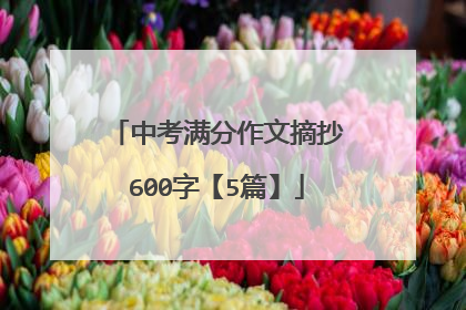 中考满分作文摘抄600字【5篇】