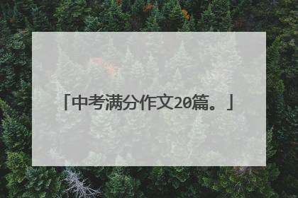 中考满分作文20篇。