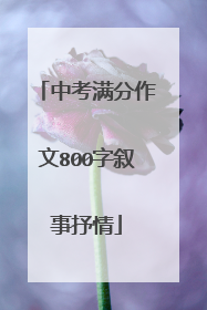 中考满分作文800字叙事抒情