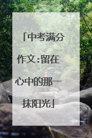 中考满分作文:留在心中的那一抹阳光