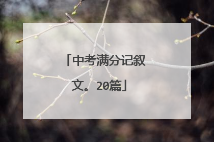 中考满分记叙文。20篇