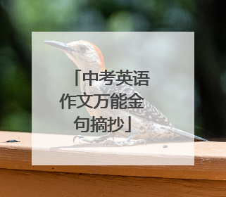 中考英语作文万能金句摘抄