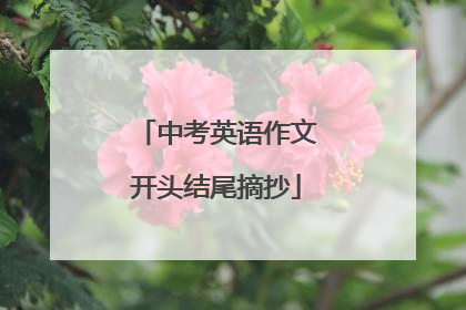 中考英语作文开头结尾摘抄