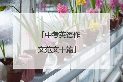 中考英语作文范文十篇