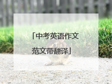 中考英语作文范文带翻译