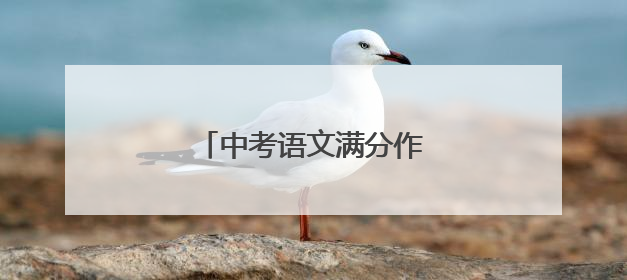 中考语文满分作文范文600字