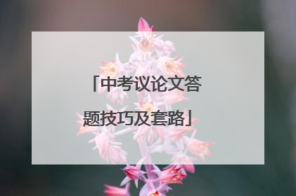 中考议论文答题技巧及套路
