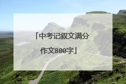 中考记叙文满分作文800字