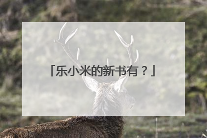 乐小米的新书有？