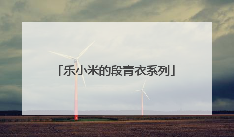 乐小米的段青衣系列