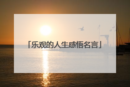 乐观的人生感悟名言