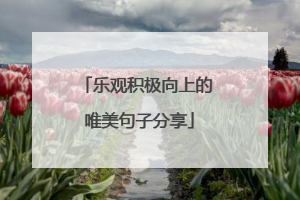 乐观积极向上的唯美句子分享