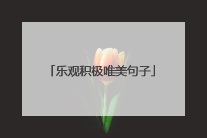 乐观积极唯美句子