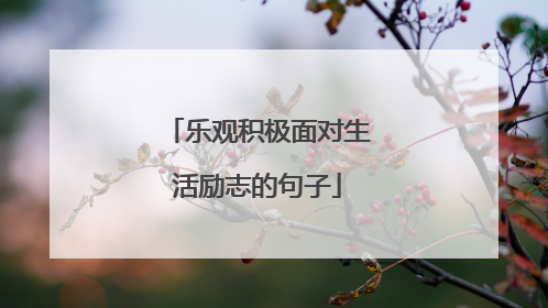 乐观积极面对生活励志的句子