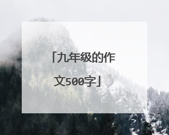 九年级的作文500字