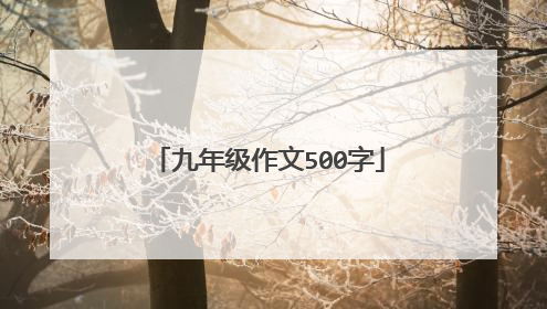 九年级作文500字