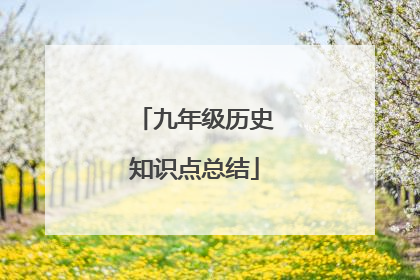九年级历史知识点总结