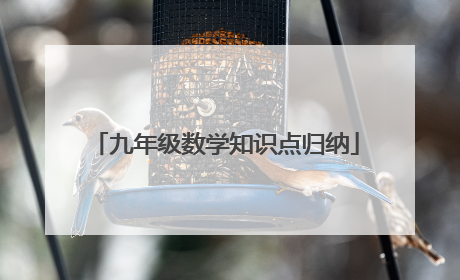 九年级数学知识点归纳