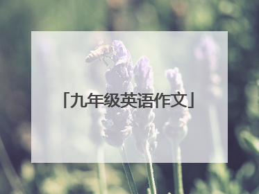 九年级英语作文