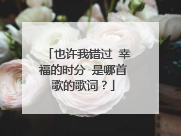 也许我错过 幸福的时分 是哪首歌的歌词?