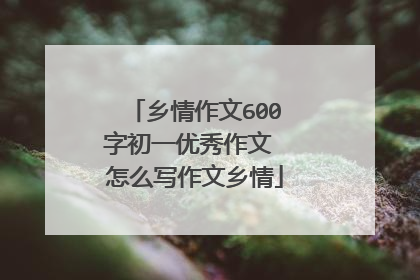 乡情作文600字初一优秀作文 怎么写作文乡情