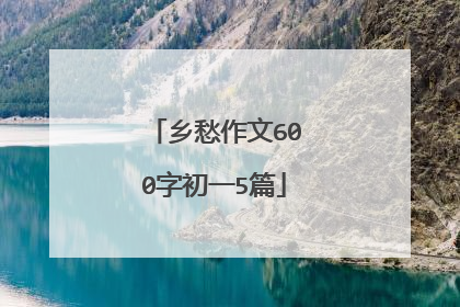 乡愁作文600字初一5篇