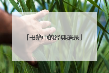 书籍中的经典语录